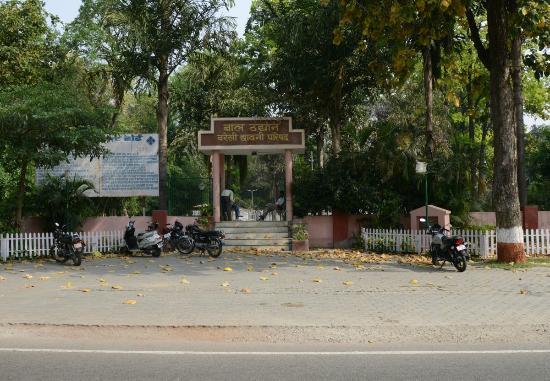 Children's Park